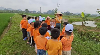 Hoạt động trải nghiệm thực tế hàng năm của Trường Mầm non Hợp Thanh